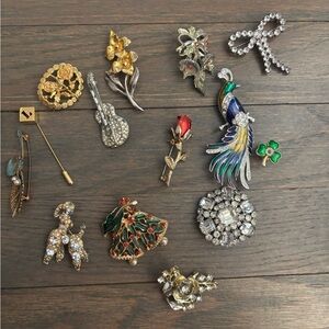 Assorted Women’s Multi-Color Vintage Brooch Pin Set